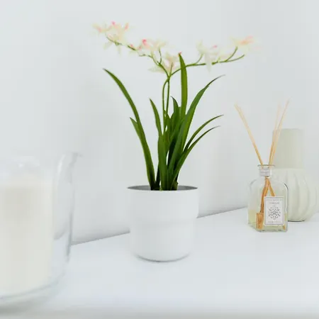 'casa Di Vivi' 300m From The Free Wifi Netflix Moneglia