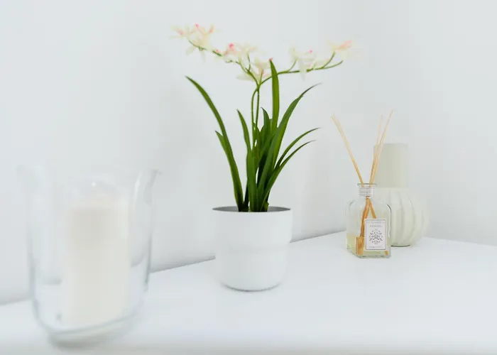 'casa Di Vivi' 300m From The Free Wifi Netflix Moneglia